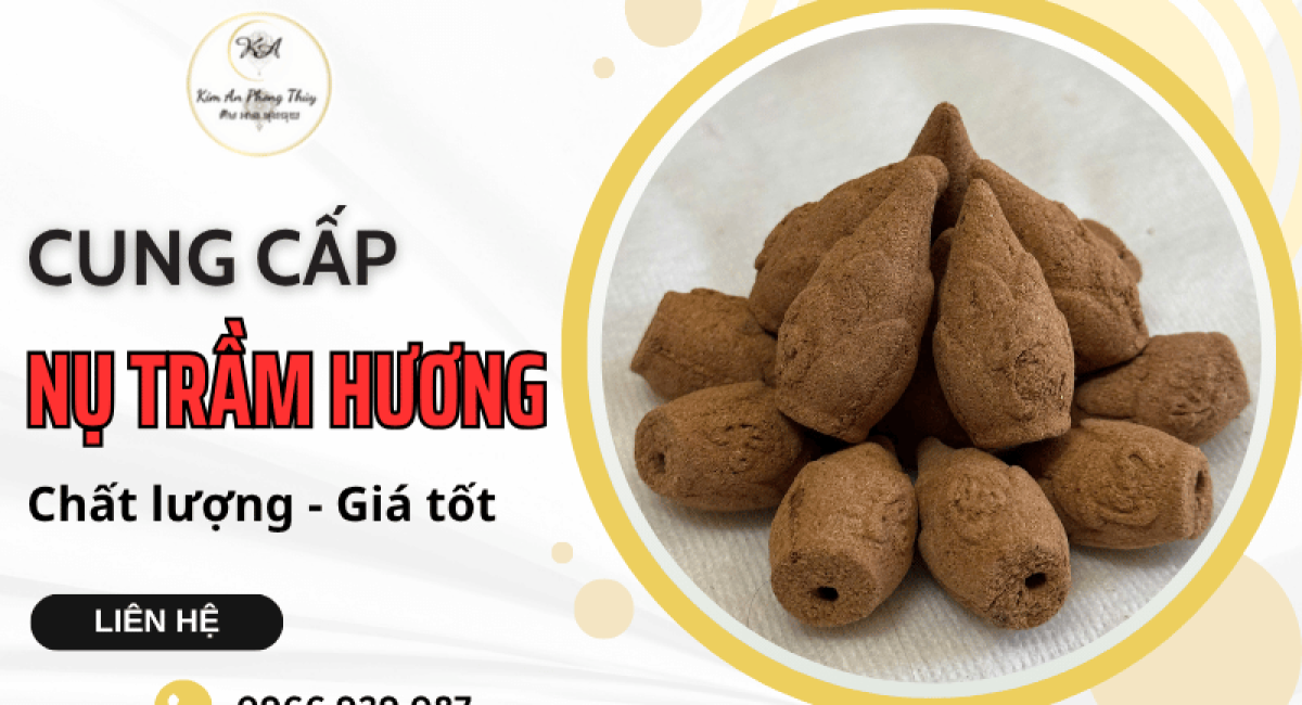 Nụ trầm hương là gì? Công dụng, cách dùng hiệu quả và địa chỉ mua uy tín